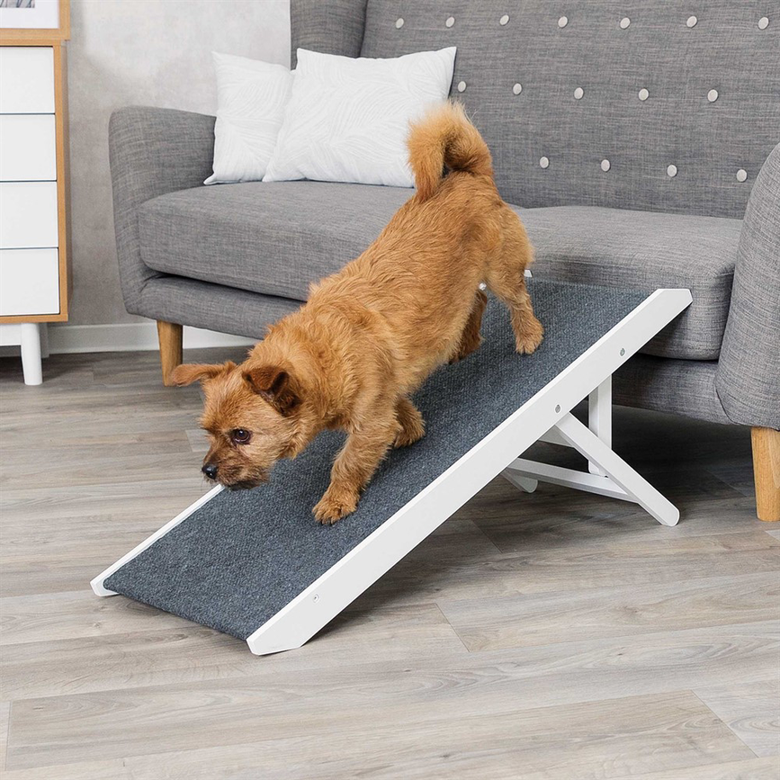 prod1000-pro_dog_39375-1.png