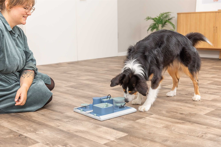 prod1000-dog_32013-1.png