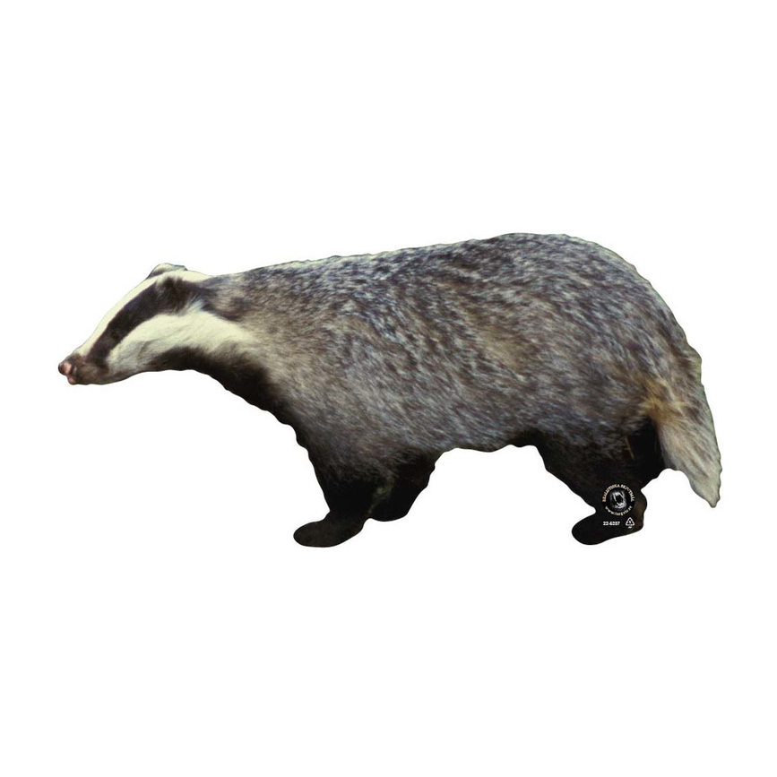22-5237gravling.png