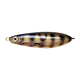 api-2000x2000,fit-new-123268.png