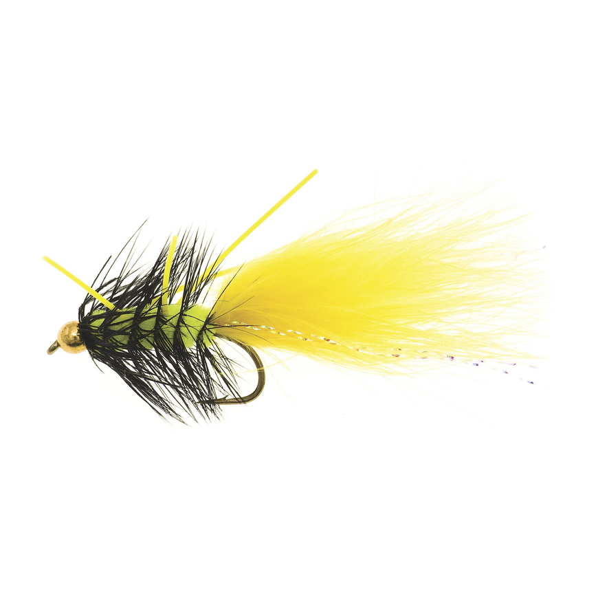 4-fairpoint-public-pim-bc-2cfd6215-27b6-4a3a-bd88-5a1a1622fc95-fl24099xs_fl00120_large.png