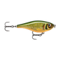 Scaled Roach