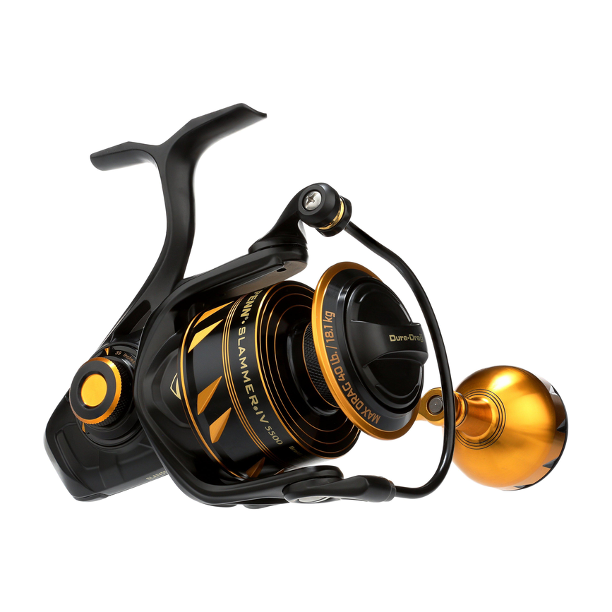 1310317_5500_ms.png