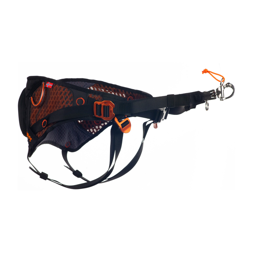 loype_belt_1.png