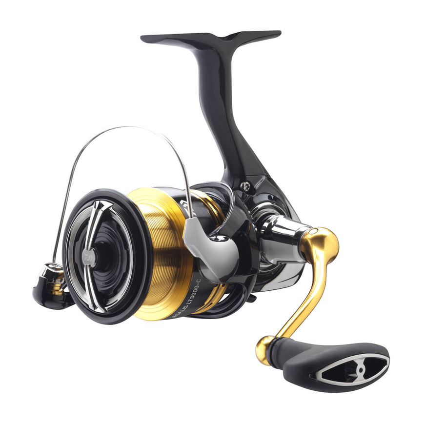 reels-001-d9r3zk2_23_legalis_lt-23-legalis-lt.png