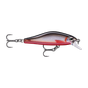 Red Belly Shad