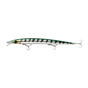 Green Barracuda