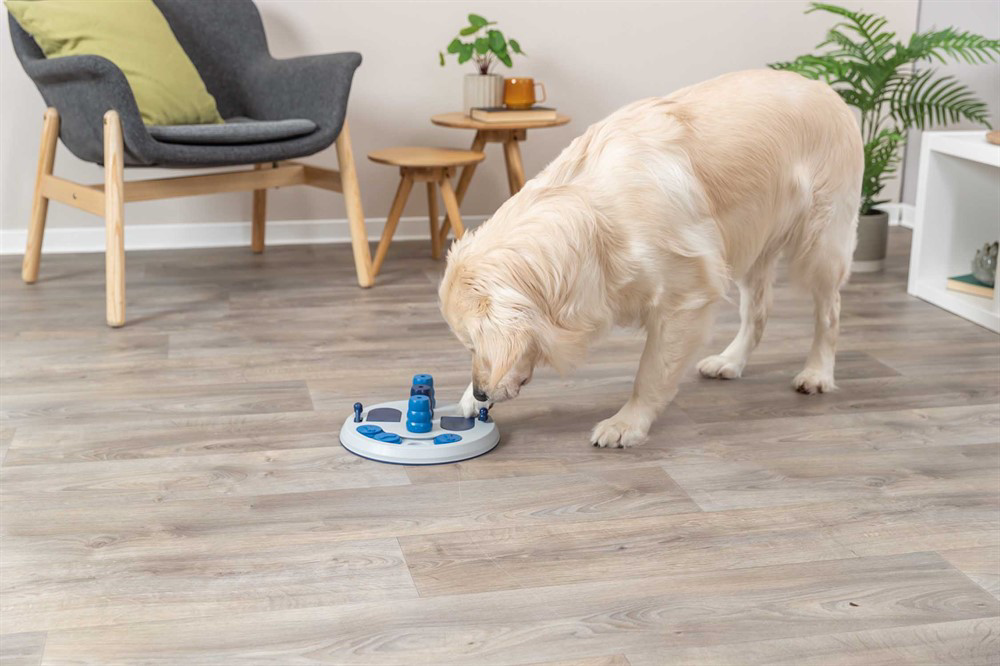 prod1000-dog_32053-6.png