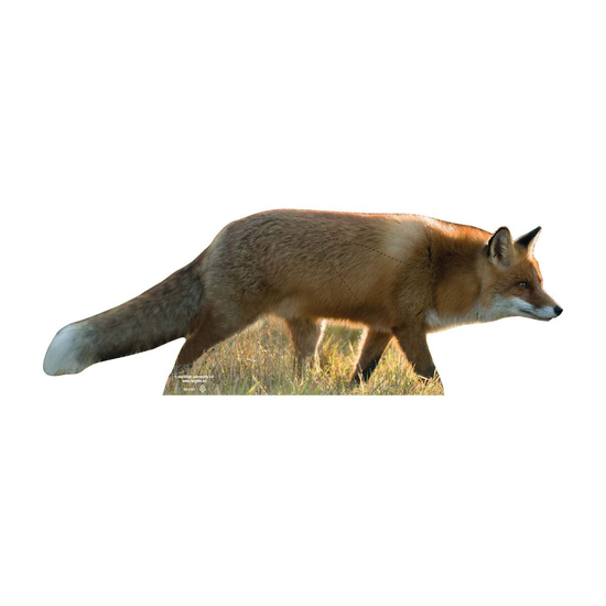 22-5121rav.png