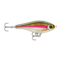 Live Rainbow Trout