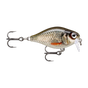 Live Roach