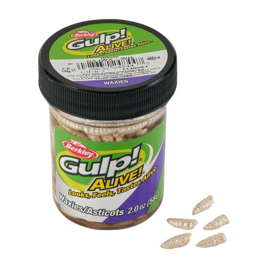 1285421_wh_ga_waxies_jar_ms.png