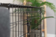 prod1000-det_39301-39302-39303-39304-39305-2_.png