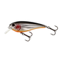 Steel Sardine
