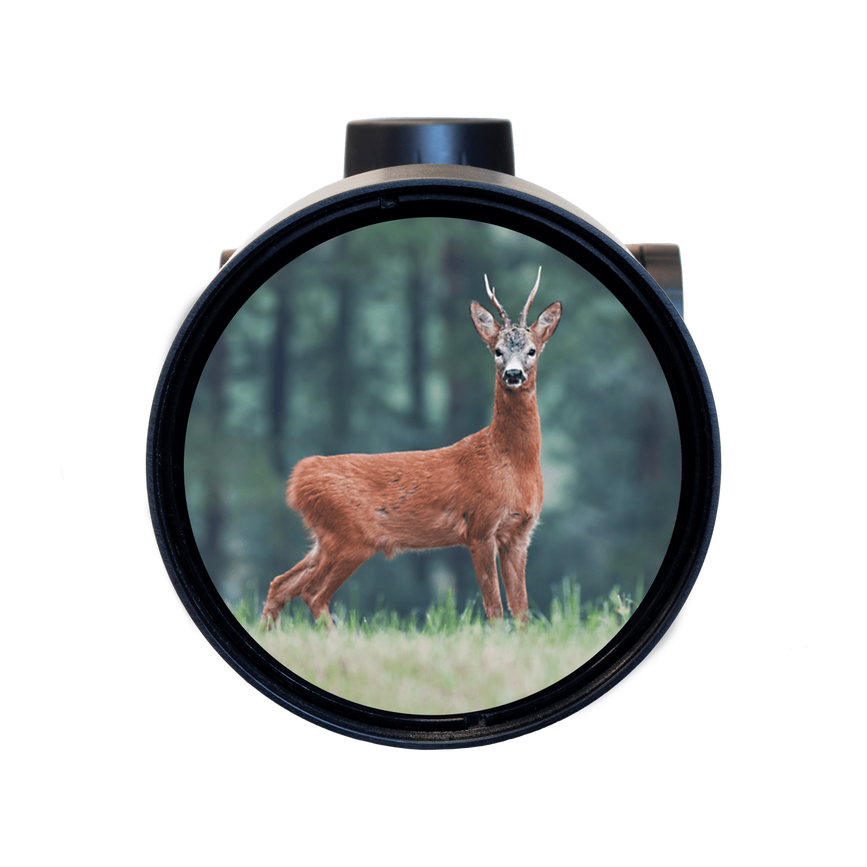 04-0f-b8-1678180186-ranger_after_highcontrast.png