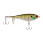 MF Bluegill