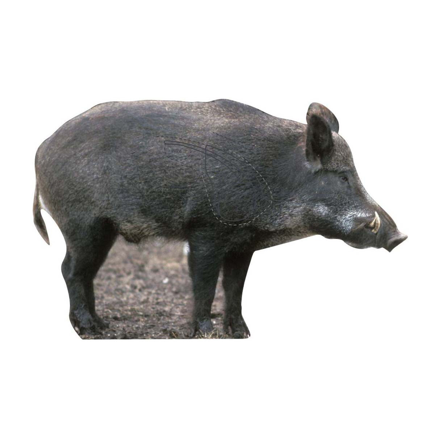 22-5104vildsvinh.png