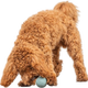 prod1000-34940-5.png