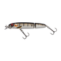 Copper Perch
