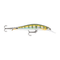 Yellow Perch