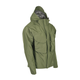 v3781.png