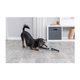 prod1000-dog_34729-2.png