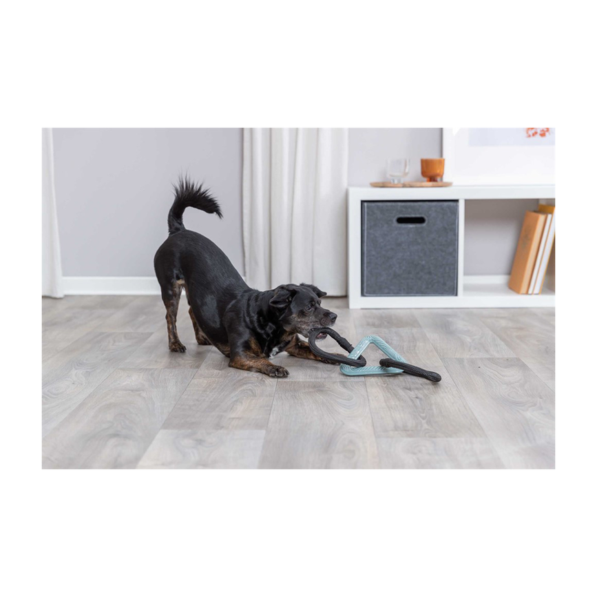 prod1000-dog_34729-2.png