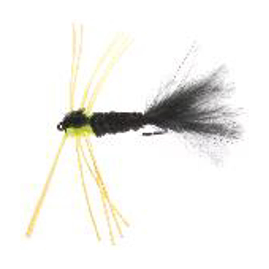 4-fairpoint-public-pim-bc-668479a6-0d78-495c-b468-0090344ef73c-fl24099o_fl24027_large.png