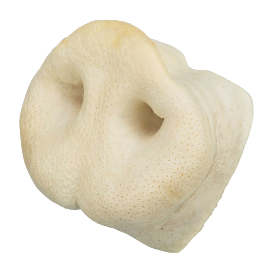 prod1000-clip_2722-3.png