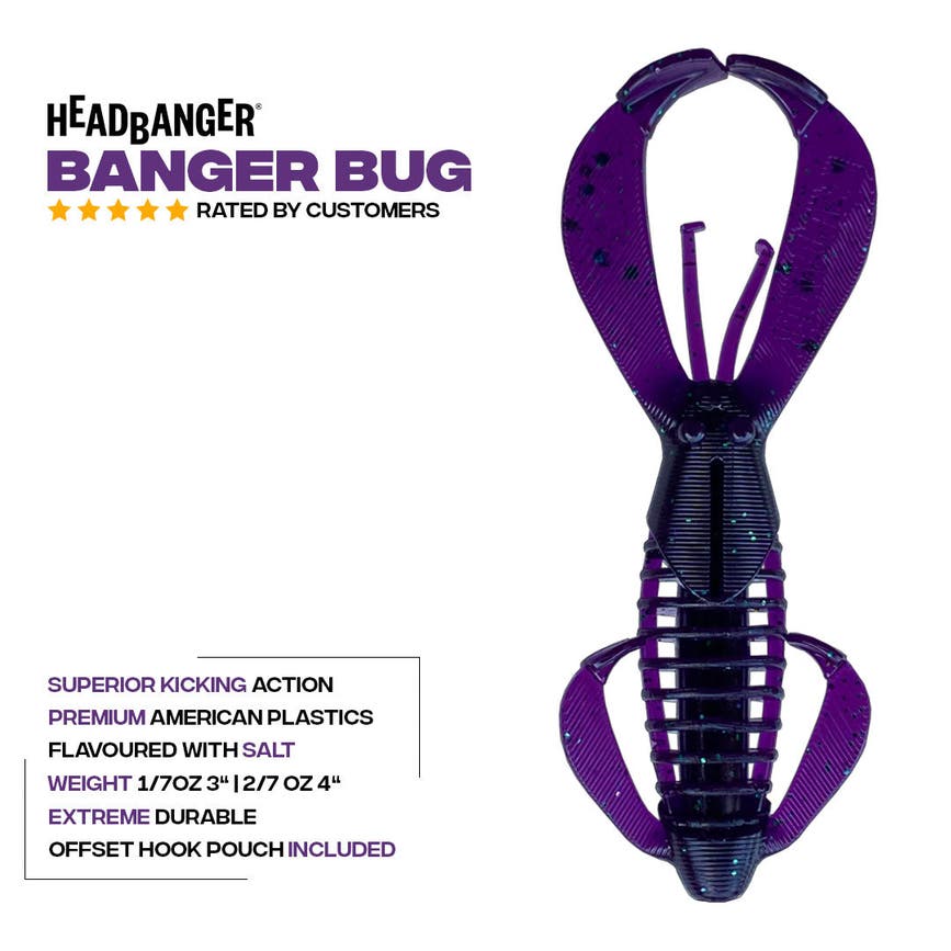 banger-bug-specs-v2.jpg