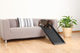 prod1000-3942_2_(2).png