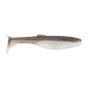 Gizzard Shad
