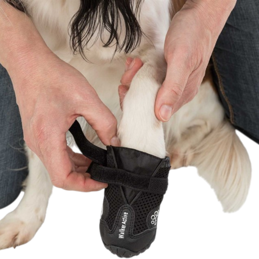 prod1000-use_19460-19467-4.png