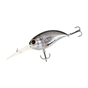 Smelt