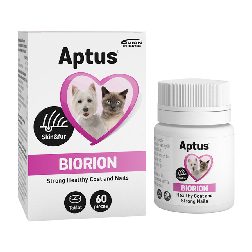2019-11-biorion.png
