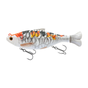 Koi Carp
