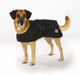 prod1000-dog_30510-30519-1.png