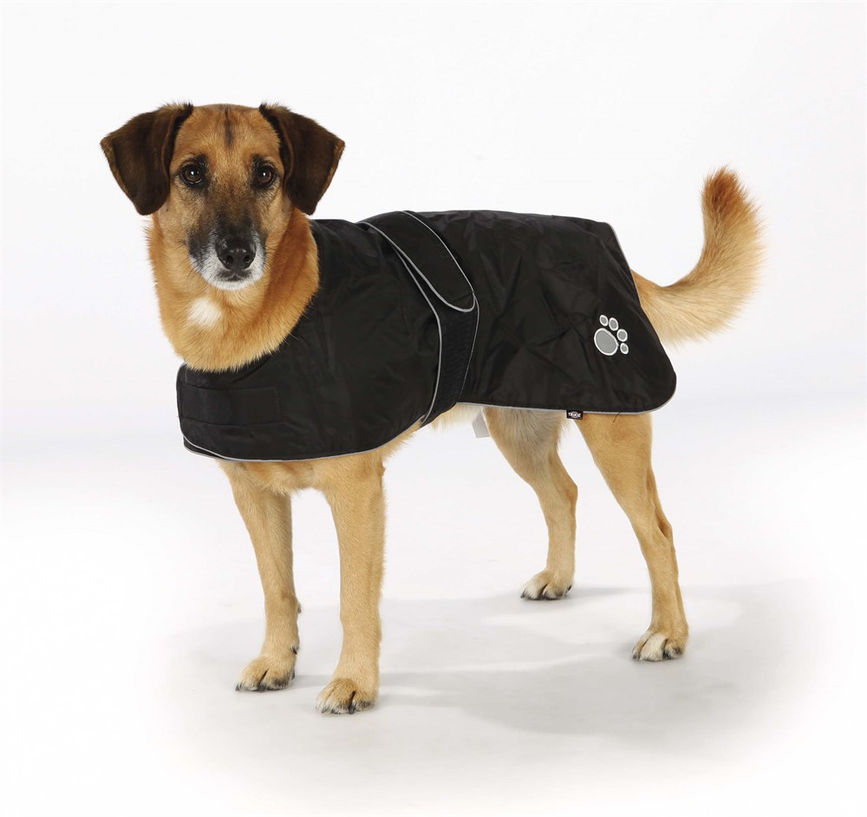 prod1000-dog_30510-30519-1.png