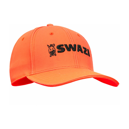 cdn-shop-files-blaze-cap.png