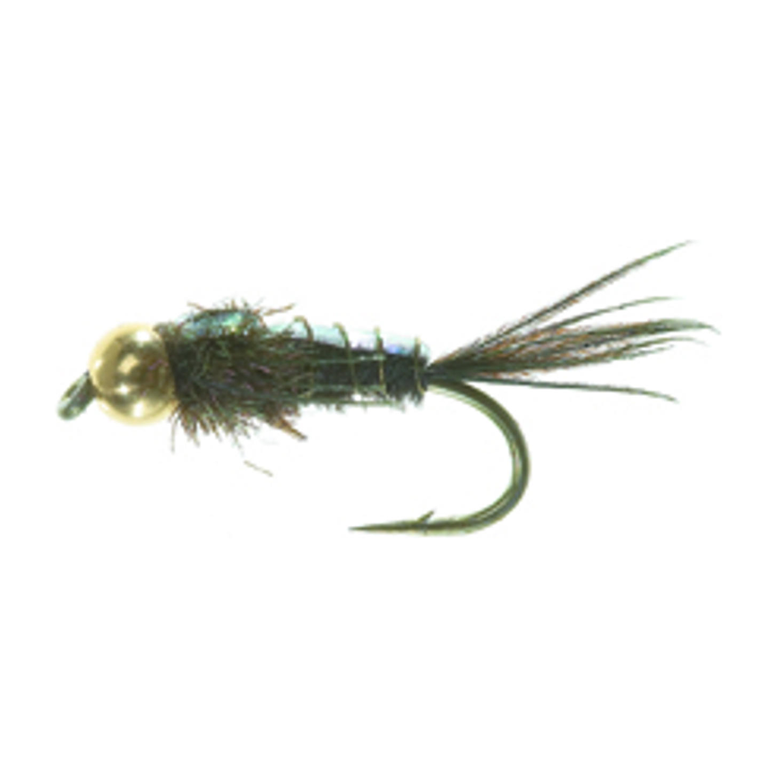 4-fairpoint-public-pim-bc-f0fb3f7d-c6a2-4b6f-b6f0-27f6d29f9b2c-fl31099u_fl31023_large.png