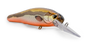 Bad Painted Minnow