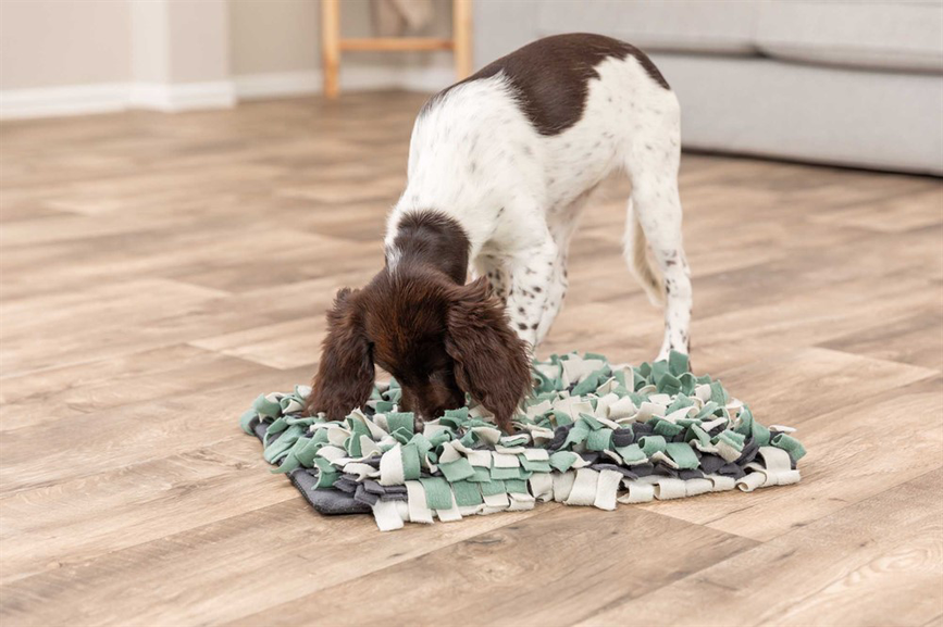 prod1000-dog_32037-11.png