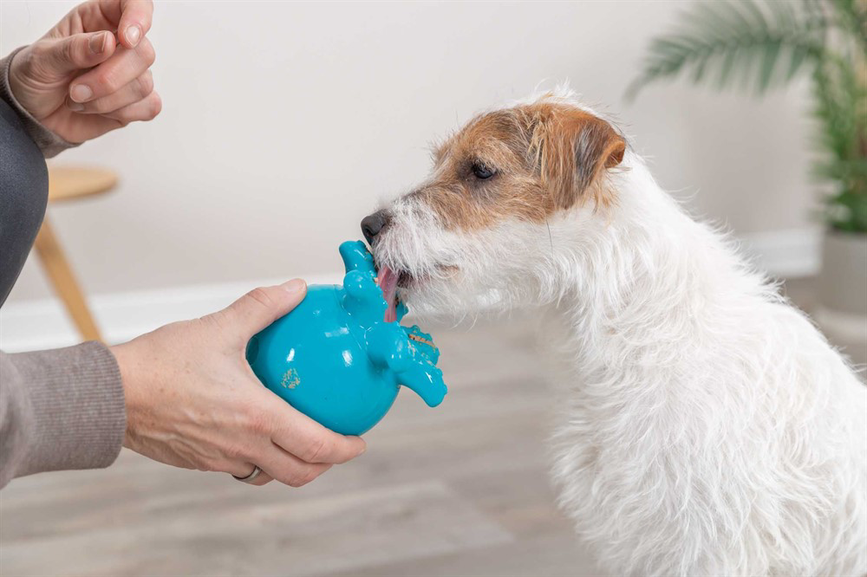 prod1000-dog_34933-5.png