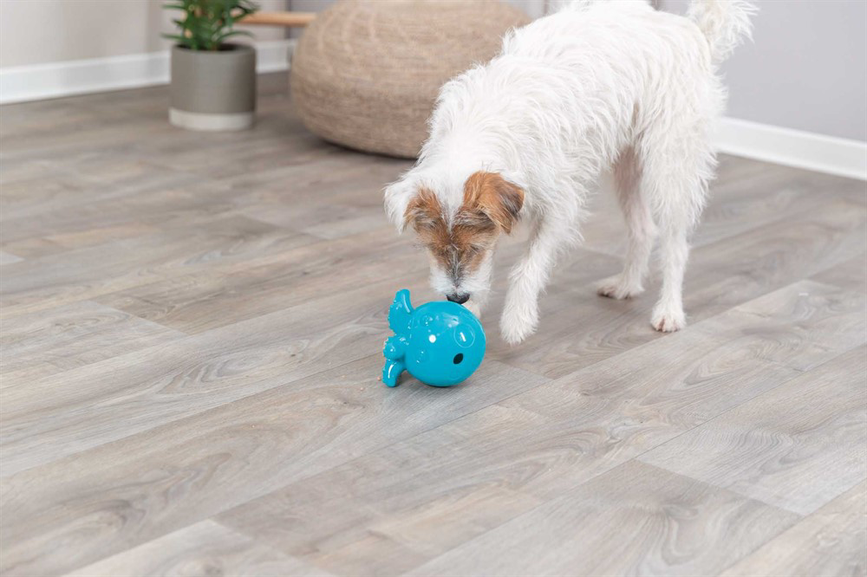 prod1000-dog_34933-2.png
