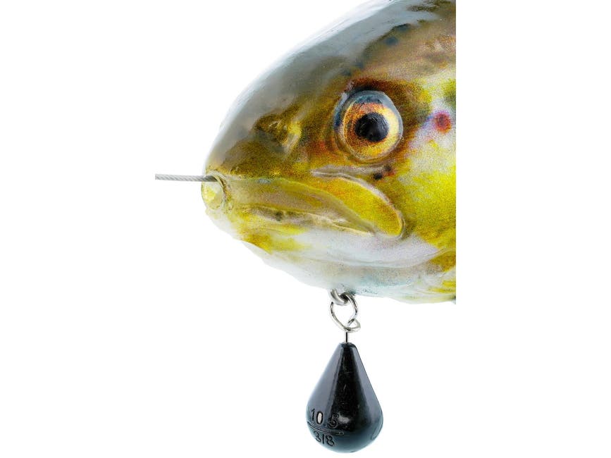 p268_tommy-the-trout-inline_x1_large.jpg
