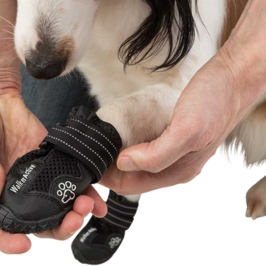 prod1000-use_19460-19467-7.png