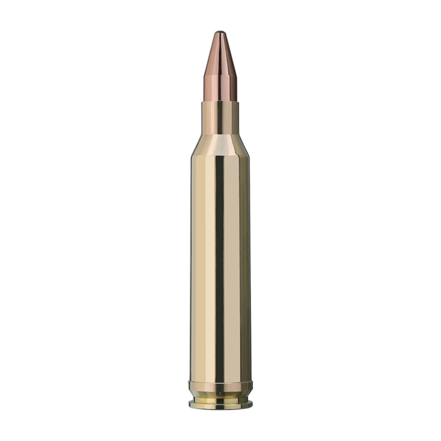 user_upload-rws-bilder-produkte-munition-buechsenpatronen-patronen-2118505_rws_7mmrm_ks_10,5g_einzelpatrone-seite.png