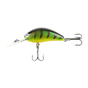 Perch
