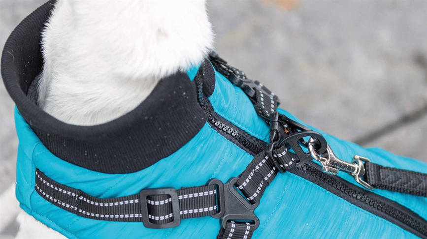 prod1000-jackrussellterrier-nieke-geschirrmantel-pontis-d.png