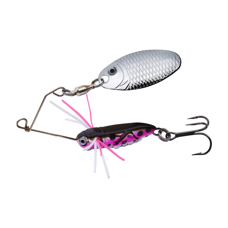 bug65-02.png